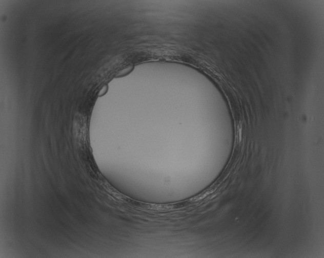 X0000081591251200701151017