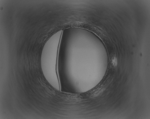 X0000081591252200701151017