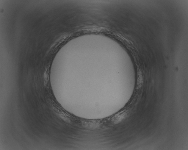 X0000081591254200701151017