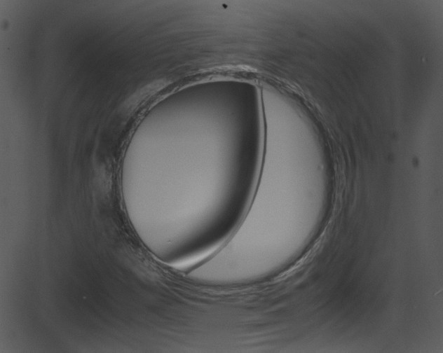 X0000081591257200701151017
