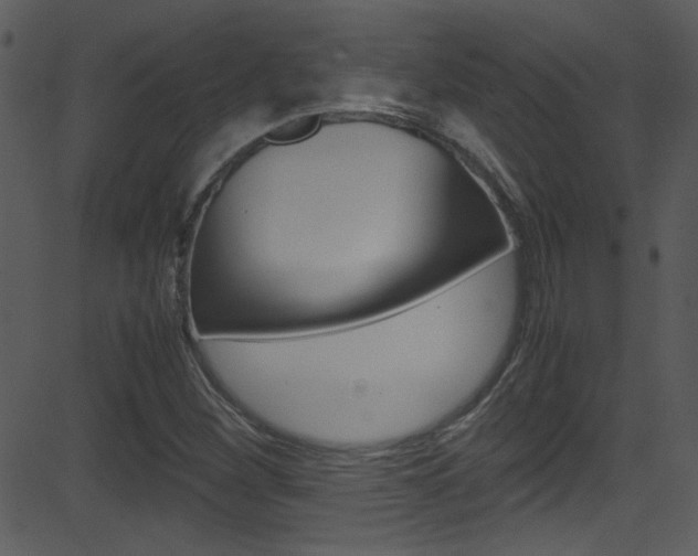 X0000081591260200701151017