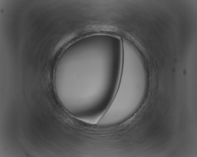 X0000081591261200701151017