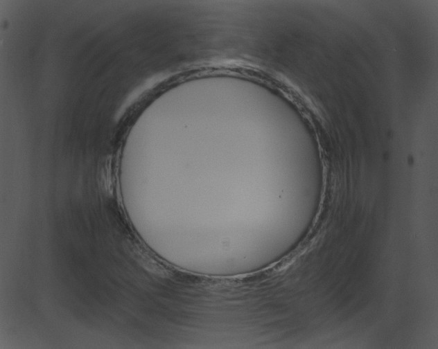 X0000081591262200701151017