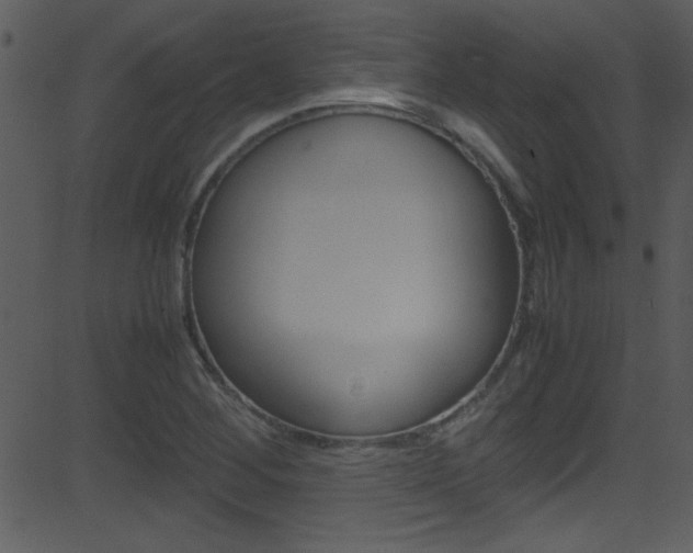 X0000081591268200701151017
