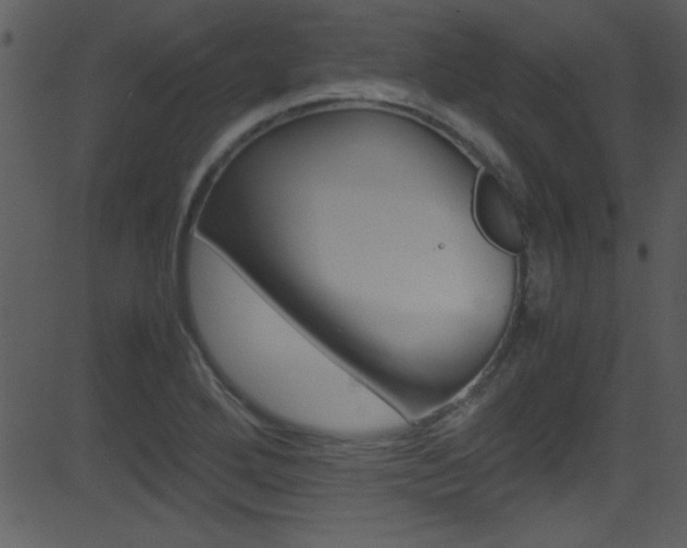 X0000081591272200701151017