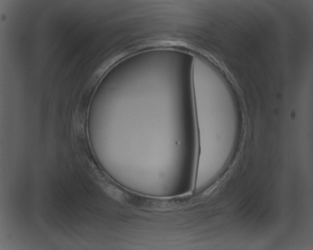X0000081591273200701151017