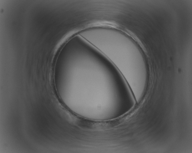 X0000081591277200701151017
