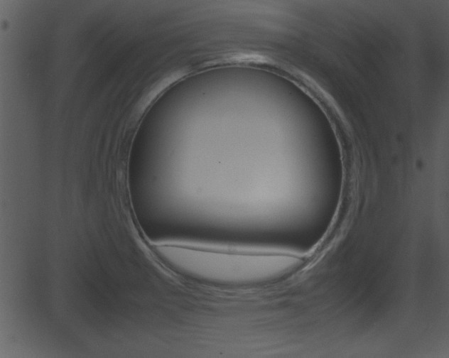 X0000081591281200701151017
