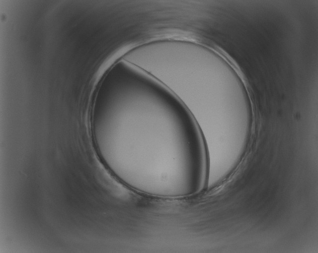 X0000081591293200701151016