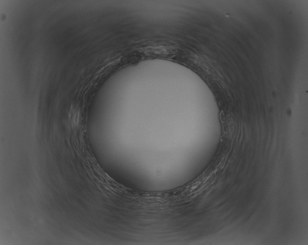 X0000081591297200701151015