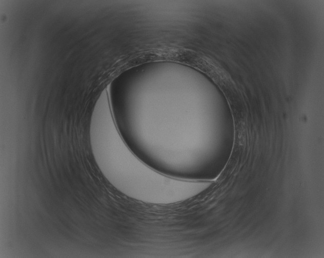 X0000081591298200701151016