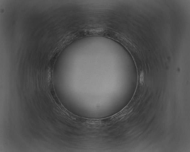X0000081591299200701151016