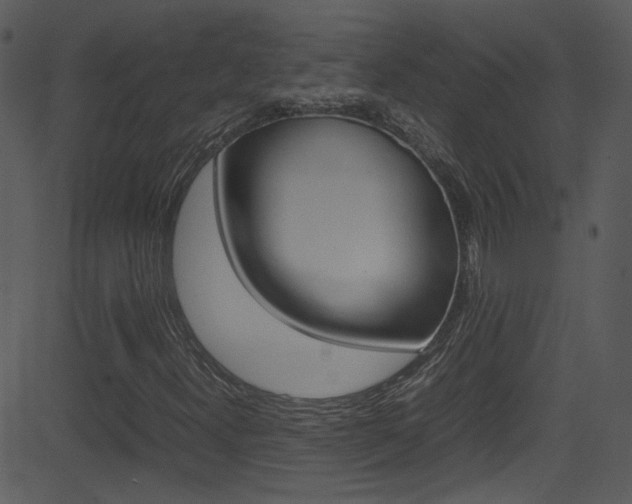 X0000081591300200701151016