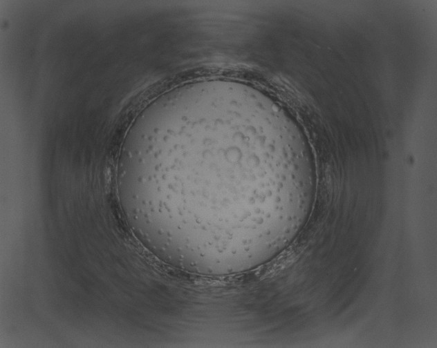 X0000081591302200701151016