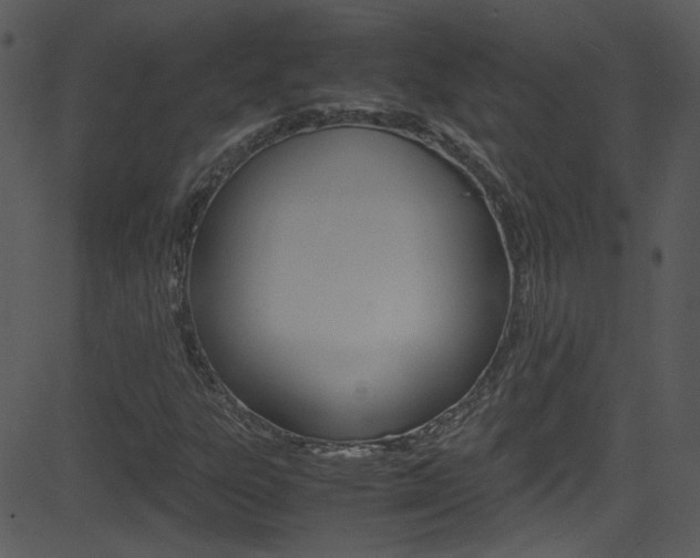X0000081591303200701151016