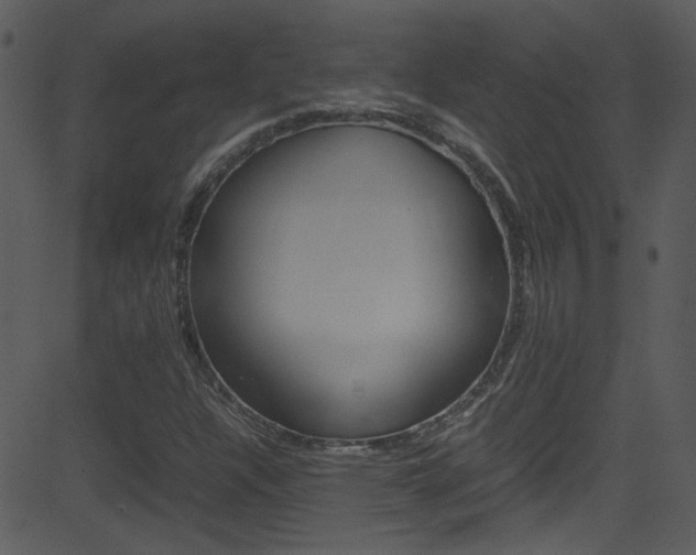X0000081591304200701151016
