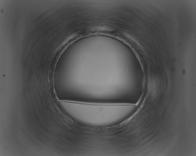 X0000081591305200701151016