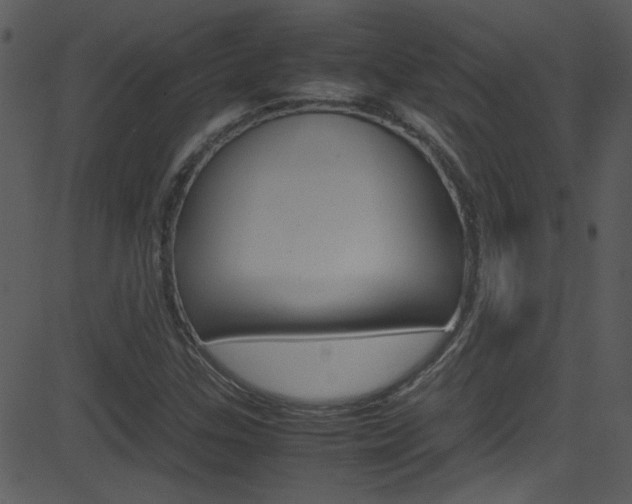 X0000081591307200701151016