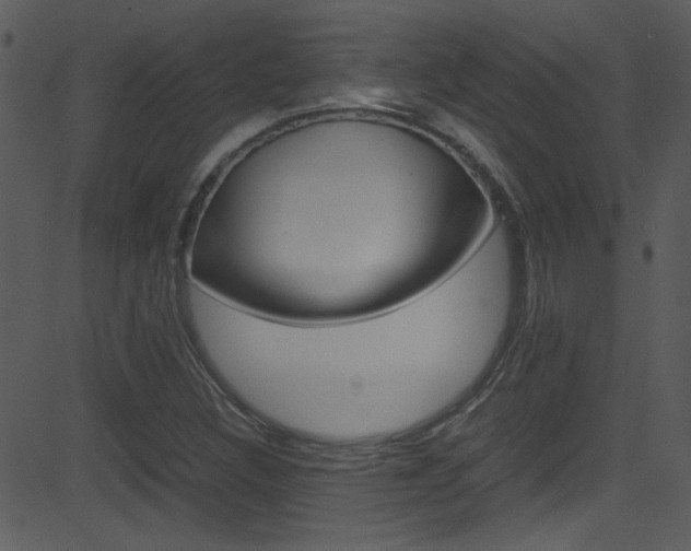 X0000081591308200701151016