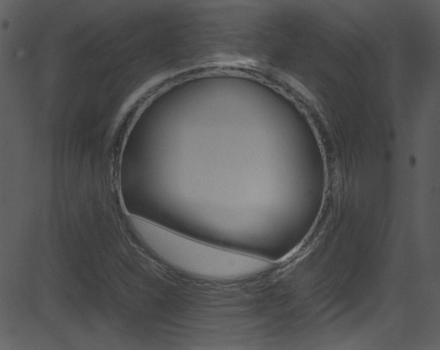 X0000081591310200701151016