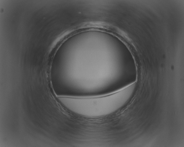X0000081591312200701151016