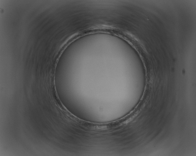 X0000081591313200701151016