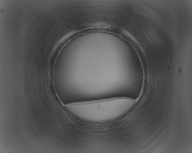 X0000081591315200701151016