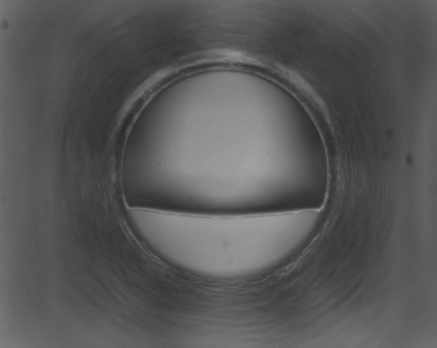 X0000081591318200701151016