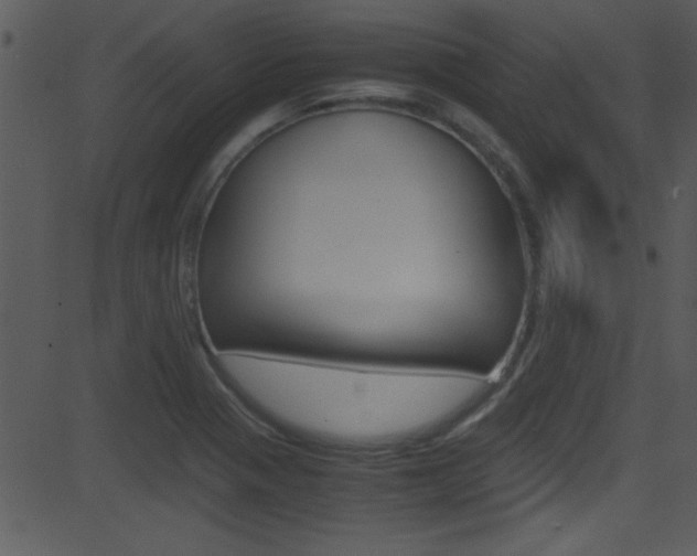 X0000081591321200701151016