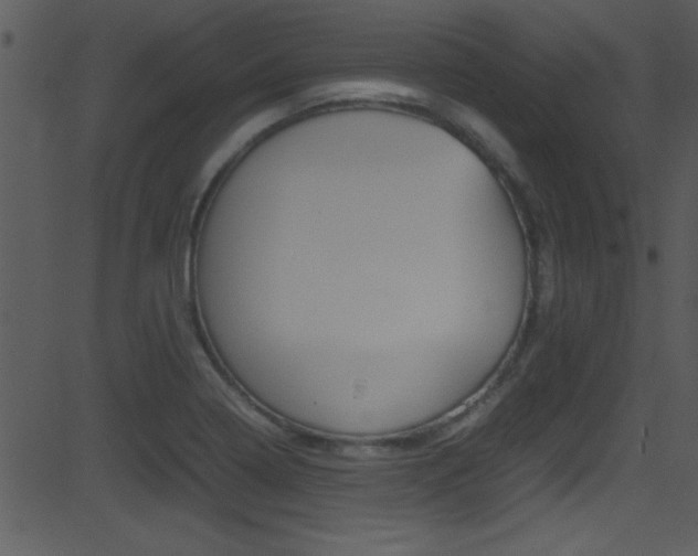 X0000081591322200701151016