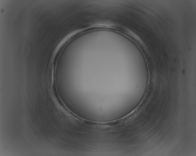X0000081591323200701151016