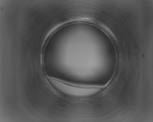 X0000081591324200701151016