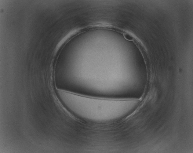 X0000081591325200701151016