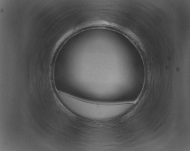 X0000081591326200701151016