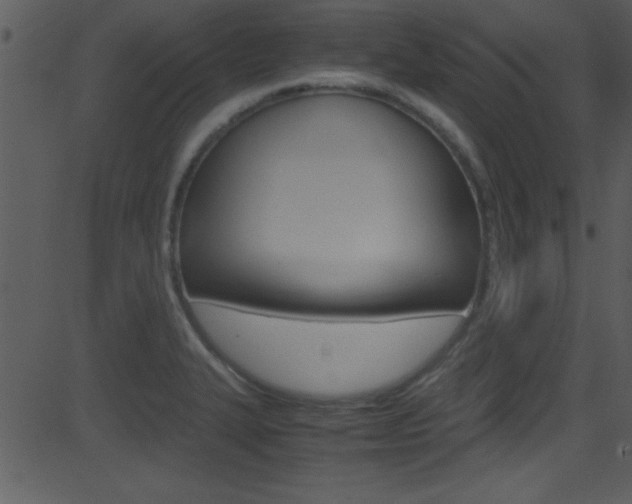 X0000081591327200701151016