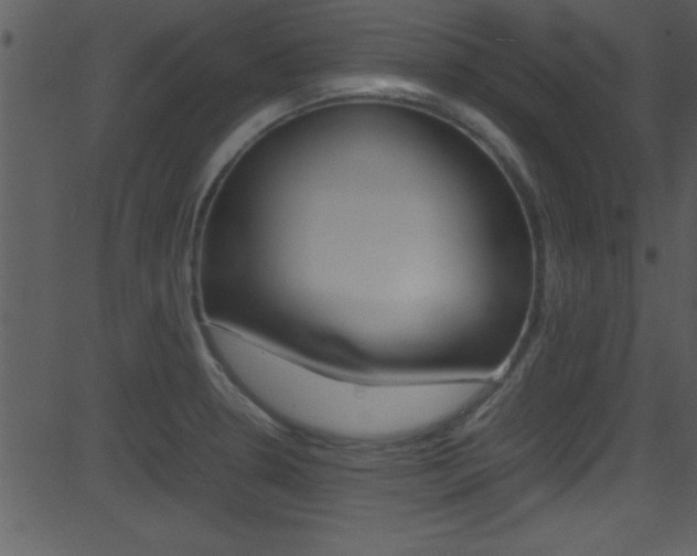 X0000081591330200701151016