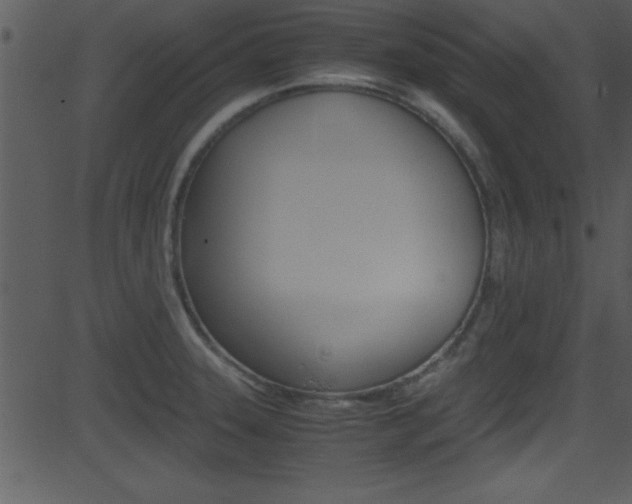 X0000081591331200701151016