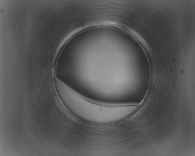 X0000081591332200701151016
