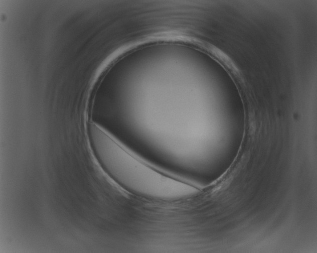 X0000081591334200701151016