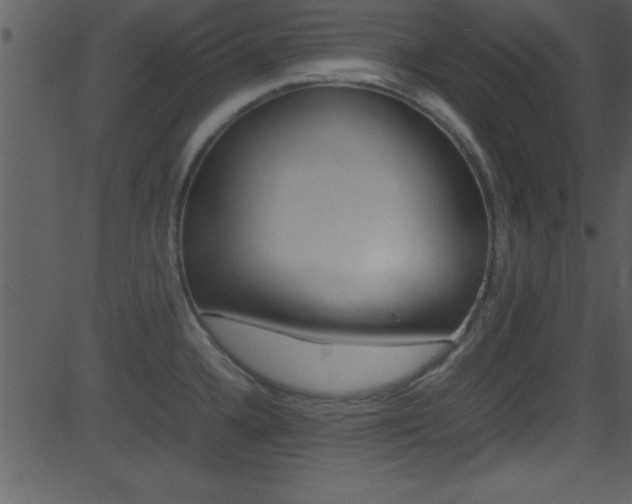 X0000081591336200701151016