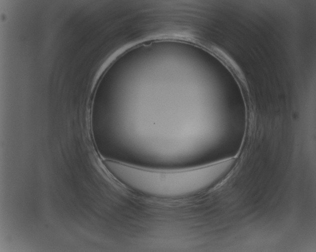X0000081591340200701151016