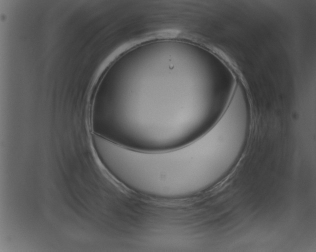X0000081591342200701151016