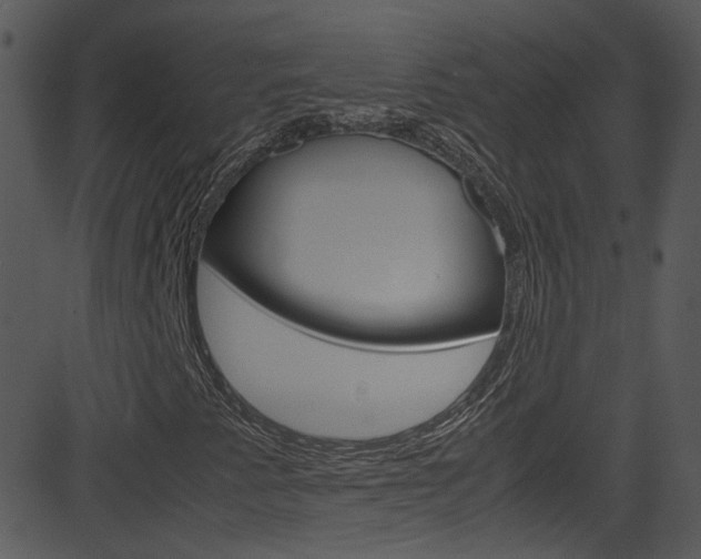 X0000081591345200701151015