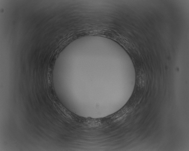 X0000081591346200701151015