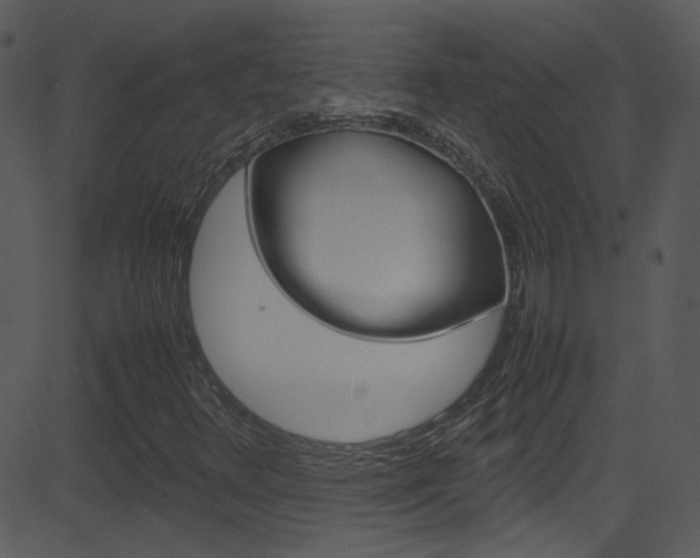 X0000081591348200701151015