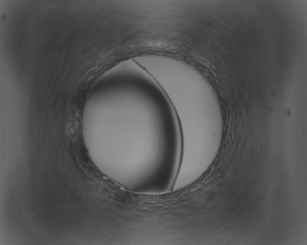 X0000081591349200701151015
