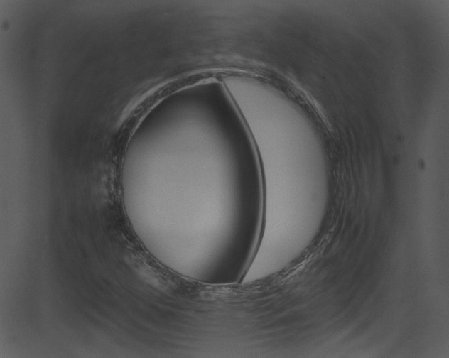 X0000081591352200701151015