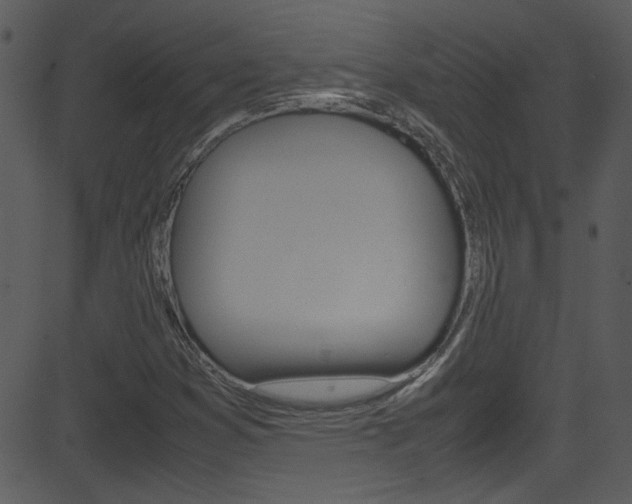 X0000081591353200701151015