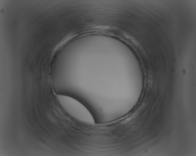 X0000081591354200701151015