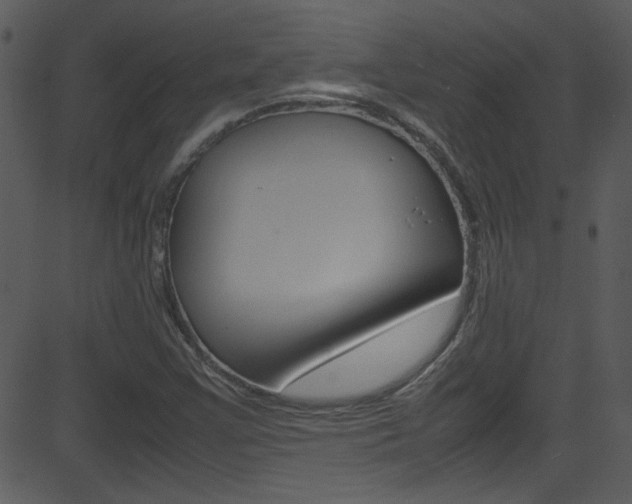 X0000081591355200701151015